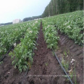 Manguera de riego por goteo de plástico agrícola PE